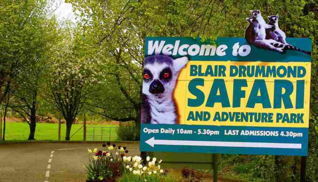 Blair Drummond Safari Park Prices