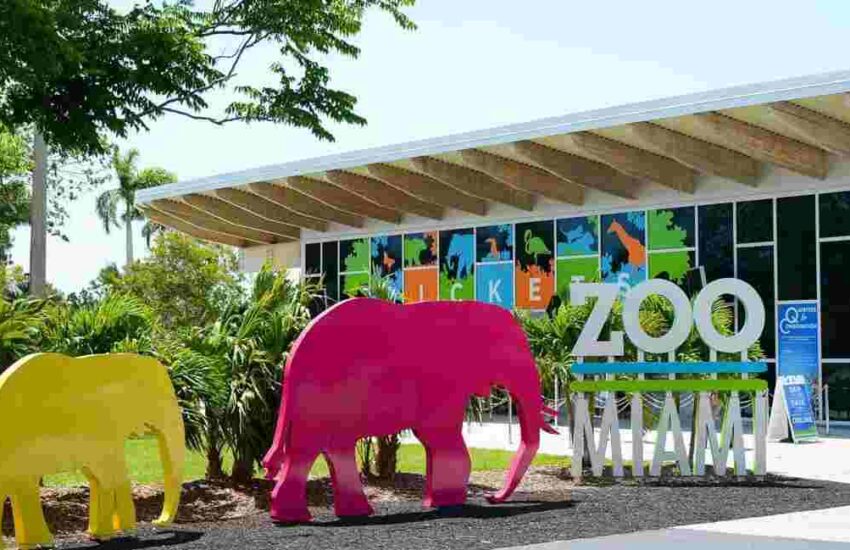 Zoo Miami Prices