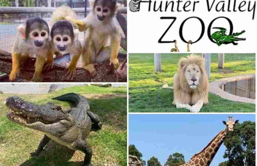 Hunter Valley Zoo Prices