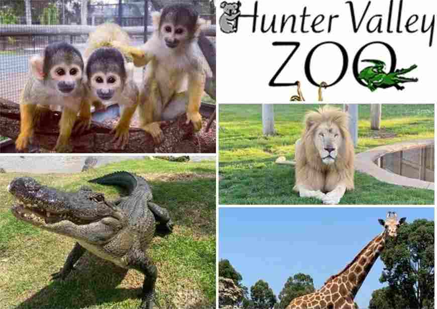 Hunter Valley Zoo Prices