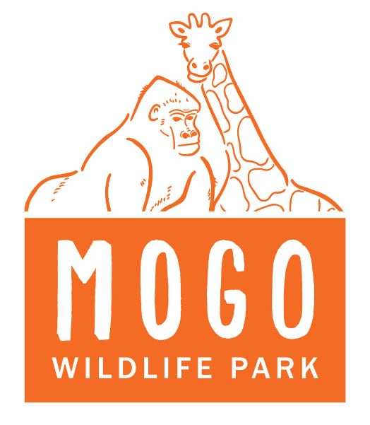 Mogo Zoo prices