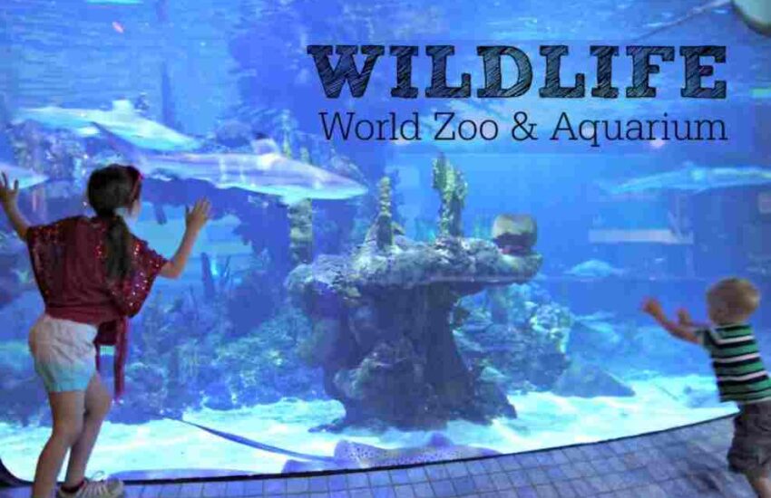 Wildlife World Zoo Prices