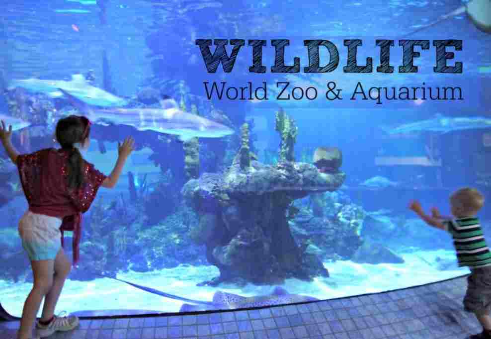 Wildlife World Zoo Prices