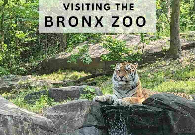 Bronx Zoo Prices