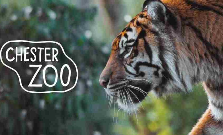Chester Zoo Prices