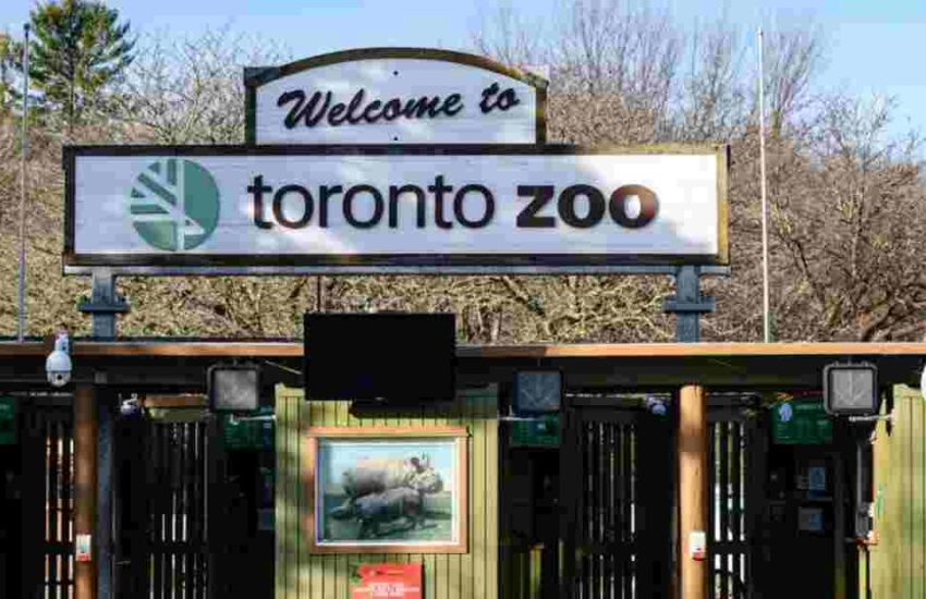 Toronto Zoo Prices