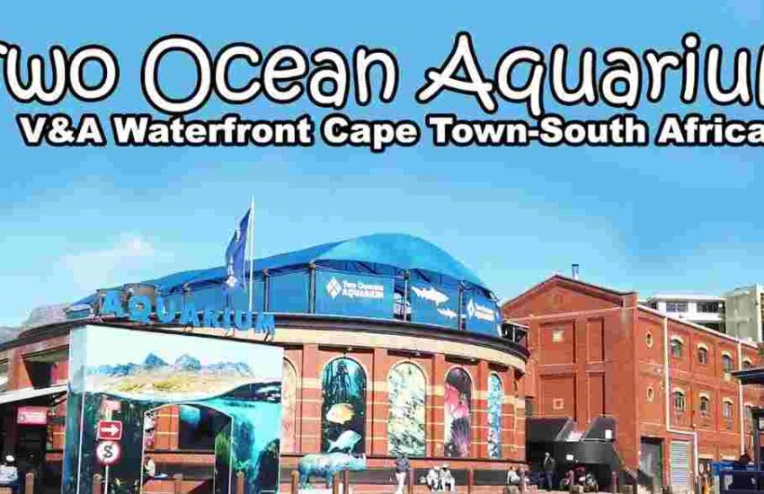 Two Oceans Aquarium Prices